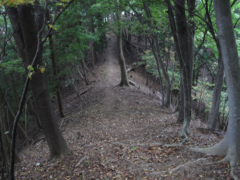 20151021hike (344)